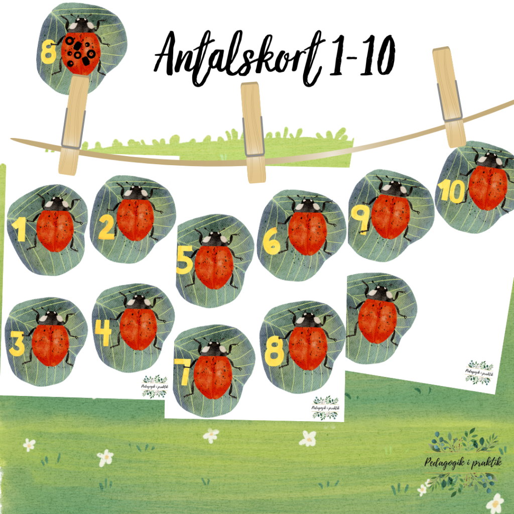 Nyckelpiga Antal 1-10