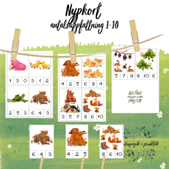 Nypkort antal 1-10
