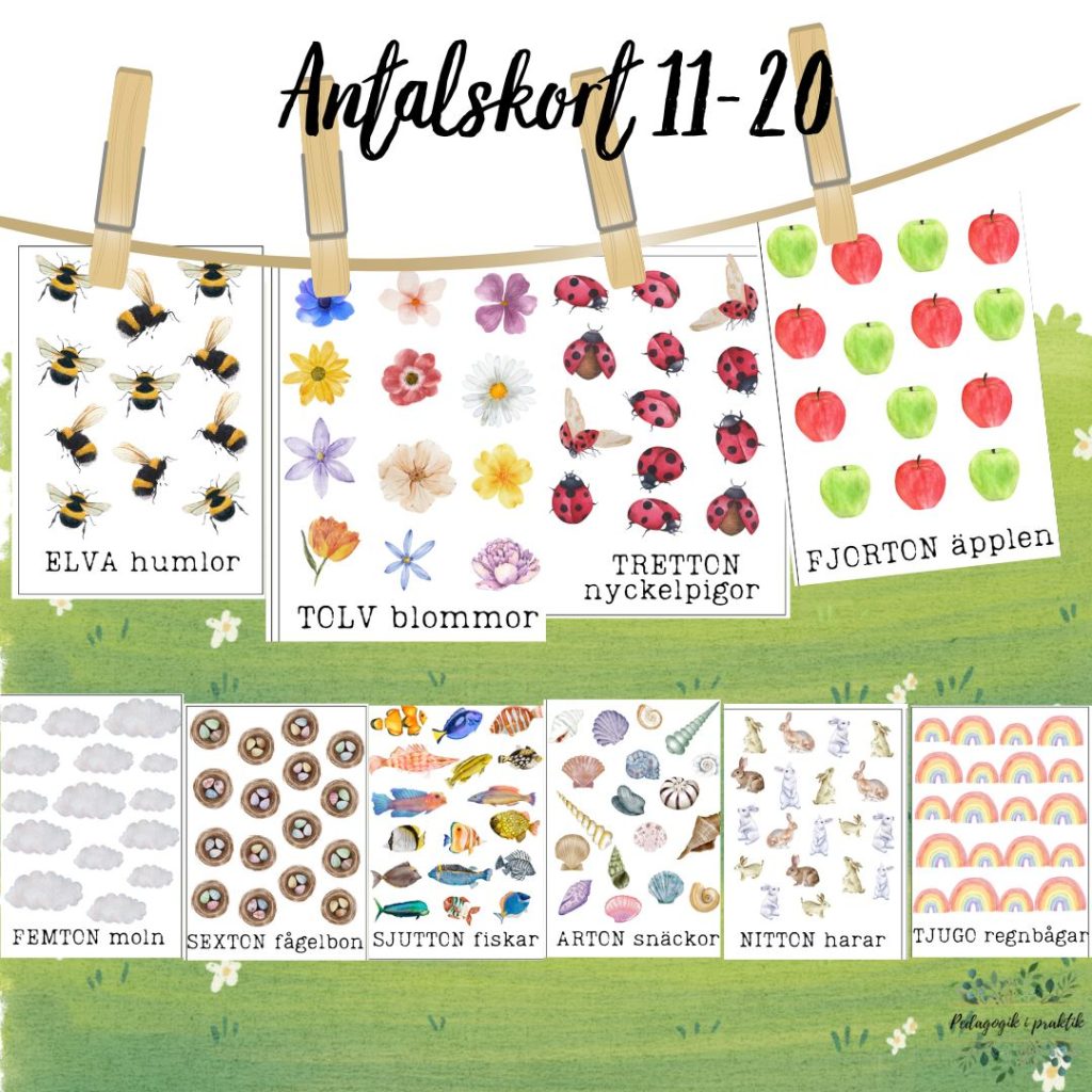 Antalskort 11-20
