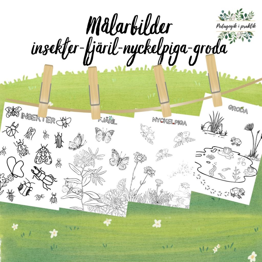 Målarbilder insekter fjäril nyckelpiga och groda