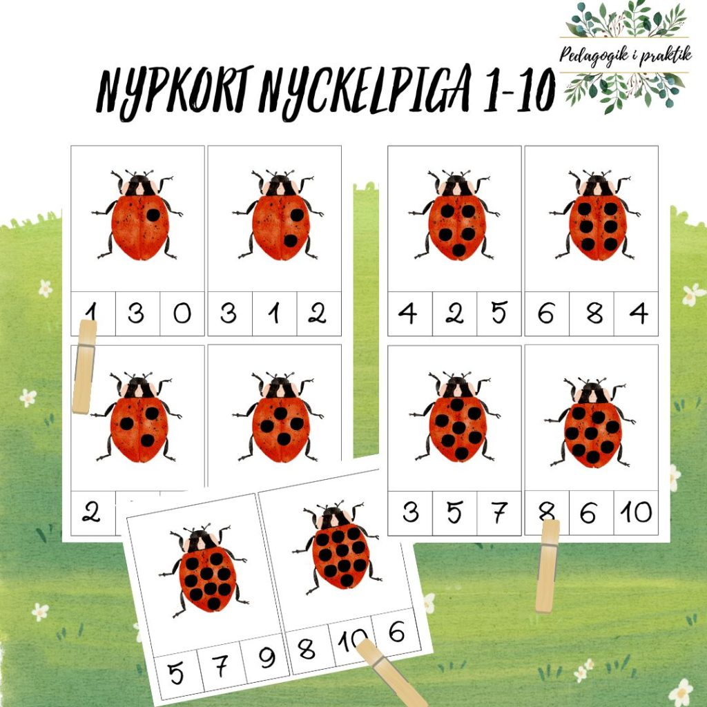 Nypkort nyckelpiga 1-10