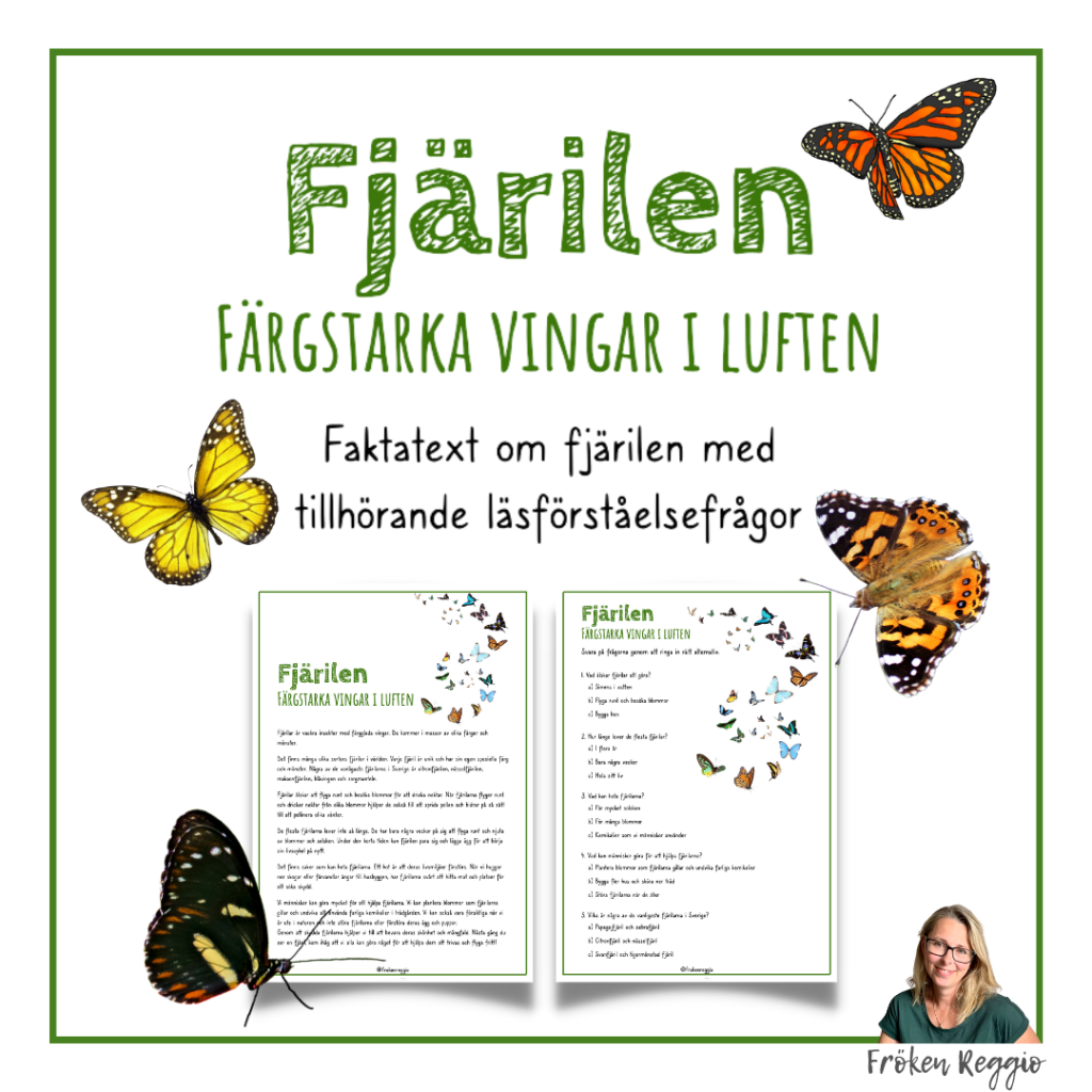 Fjärilen – Färgstarka vingar i luften