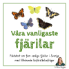 Våra vanligaste fjärilar