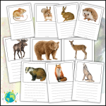 Min faktabok om djuren i skogen - bild 2