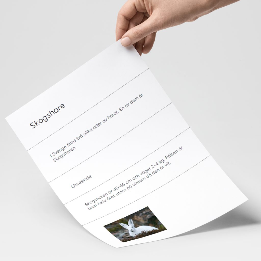 Exempeltext – beskrivande text