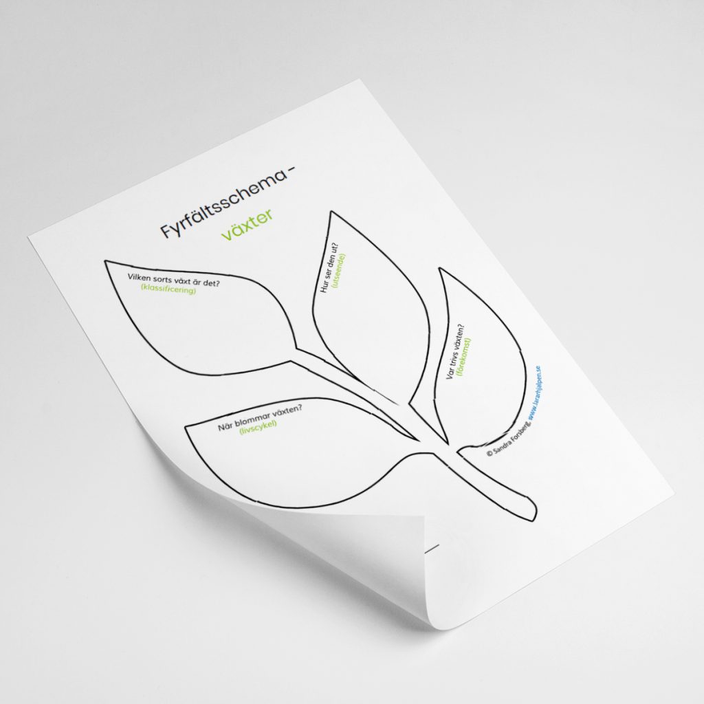 Fyrfältsschema – växter