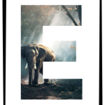 Alfabet till väggen – A3 & A4 - bild 6