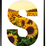 Alfabet till väggen – A3 & A4 - bild 8