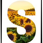 Alfabet till väggen – A3 & A4 - bild 12