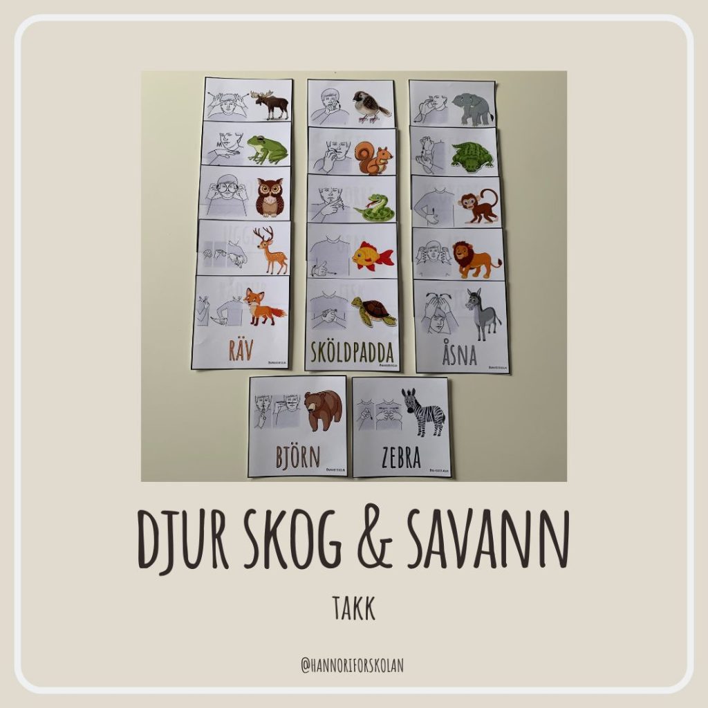 TAKK djur skog & savann