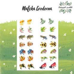 Matcha Grodorna