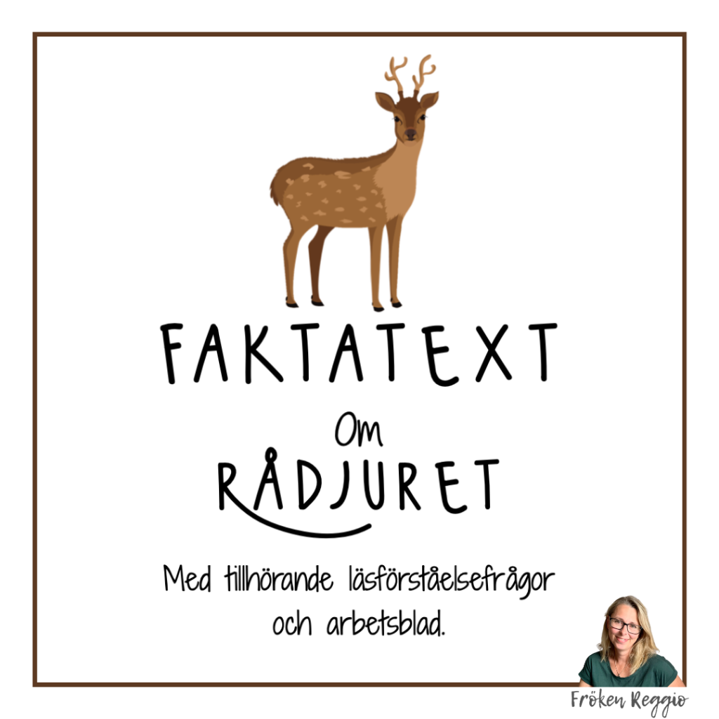 Faktatext om Rådjuret