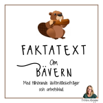 Faktatext om Bävern - bild 1