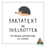 Faktatext om Igelkotten - bild 1