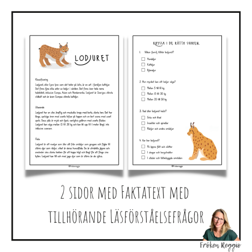 Faktatext om Lodjuret