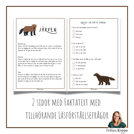 Faktatext om Järven