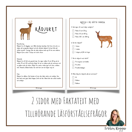 Faktatext om Rådjuret