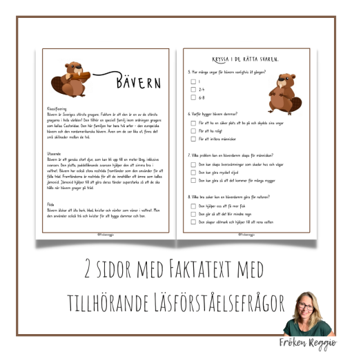 Faktatext om Bävern