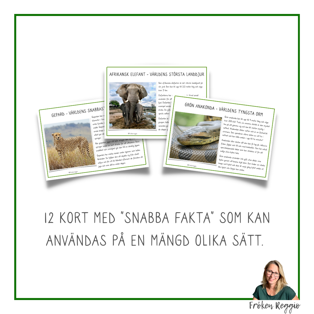 Snabba Fakta om Världens Värstingar - Djur - Del 1