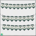 Skogen – Välkommen/välkomna tillbaka - bild 2