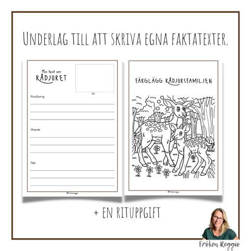 Faktatext om Rådjuret