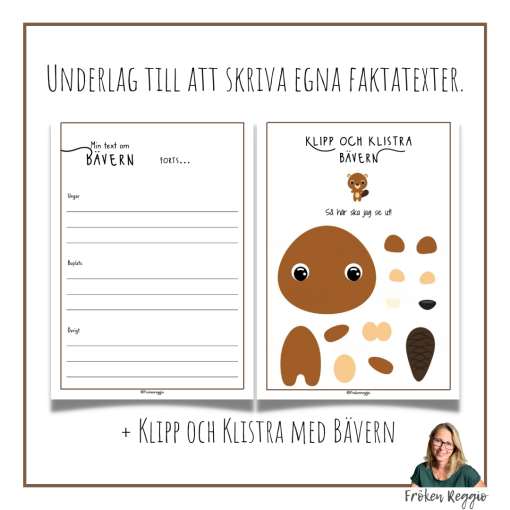 Faktatext om Bävern