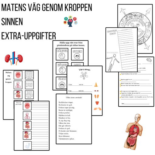 Organen och sinnen