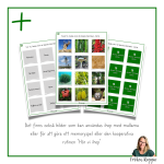 Snabba Fakta om Världens Värstingar – Växter - bild 5