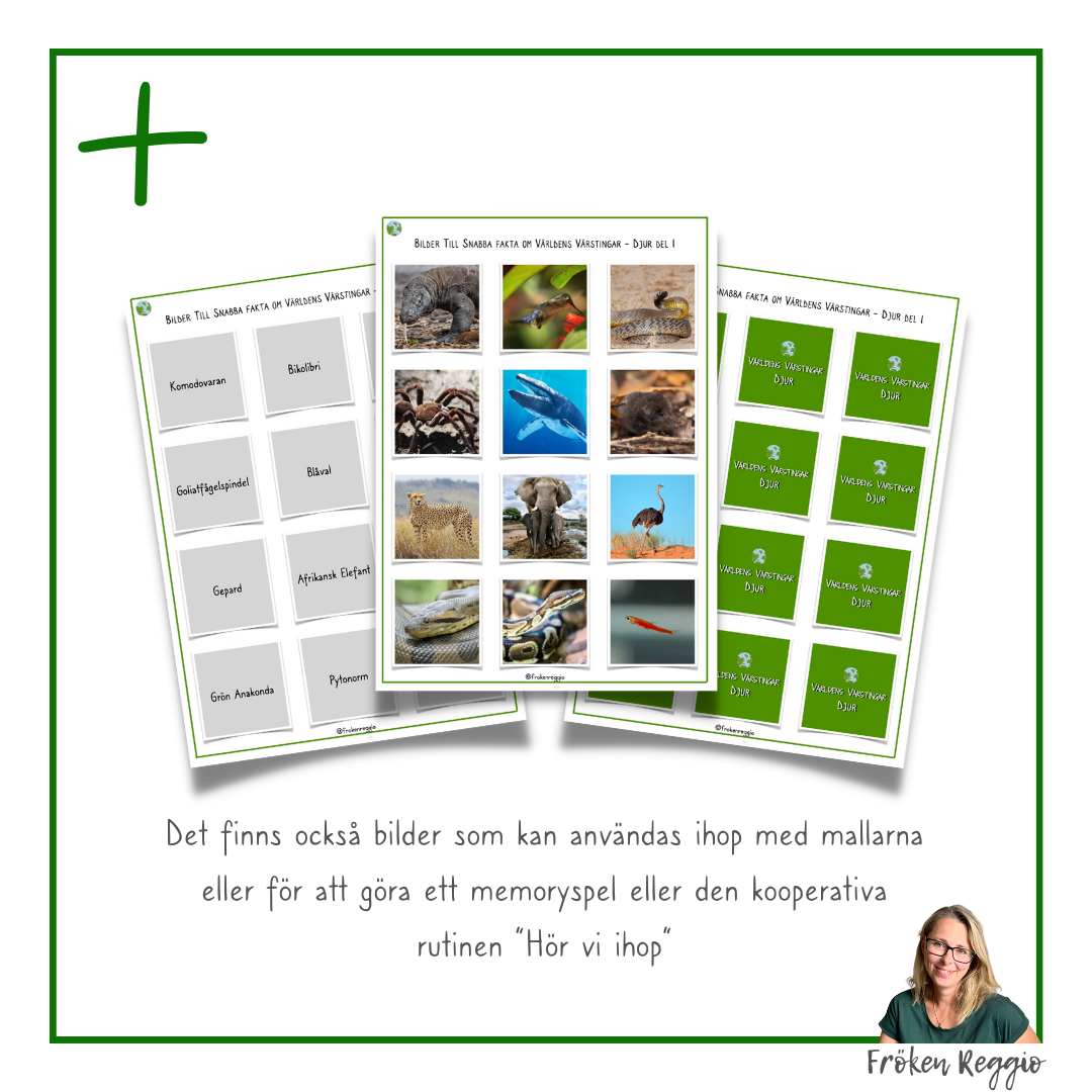 Snabba Fakta om Världens Värstingar - Djur - Del 1