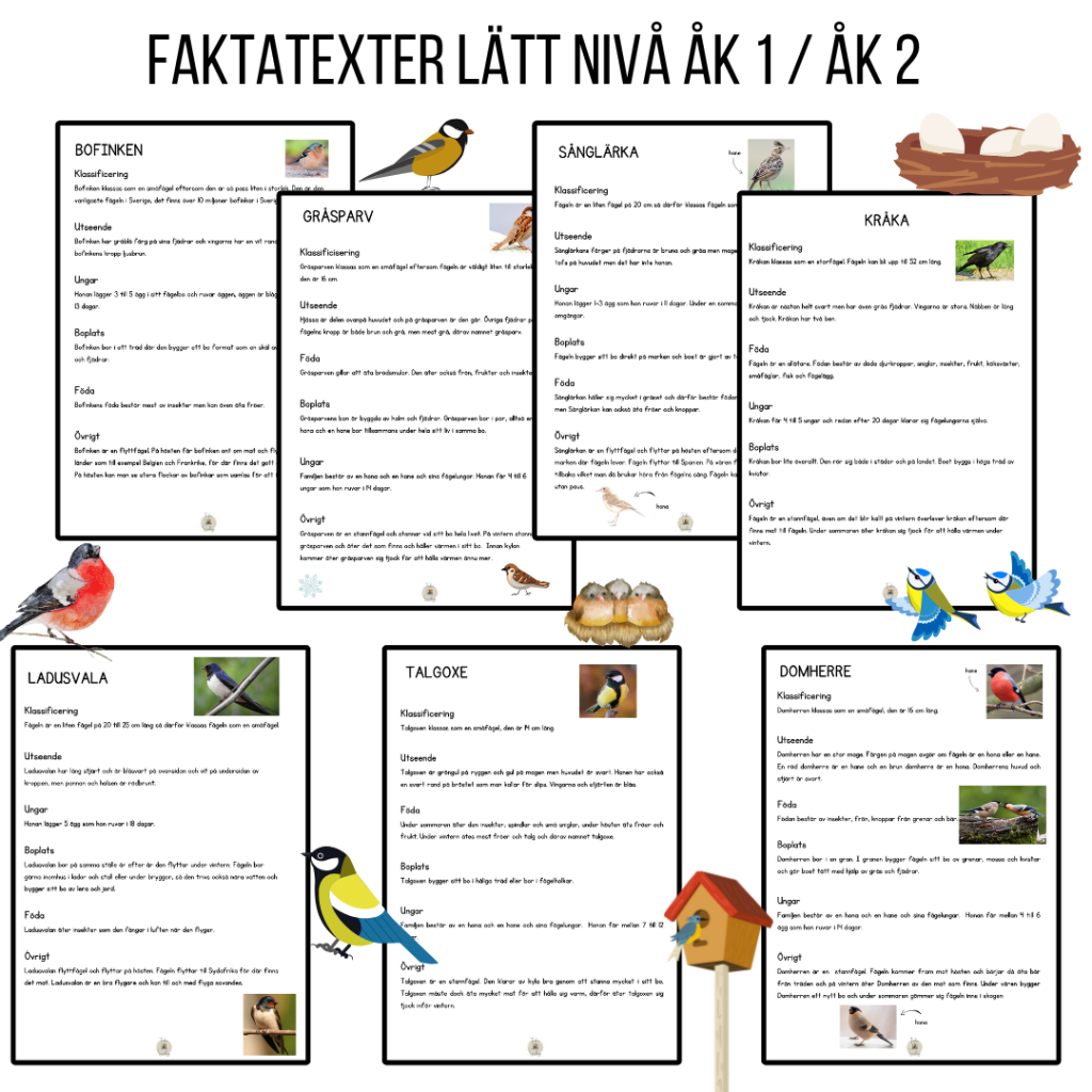 Faktatexter och lucktexter om fåglar