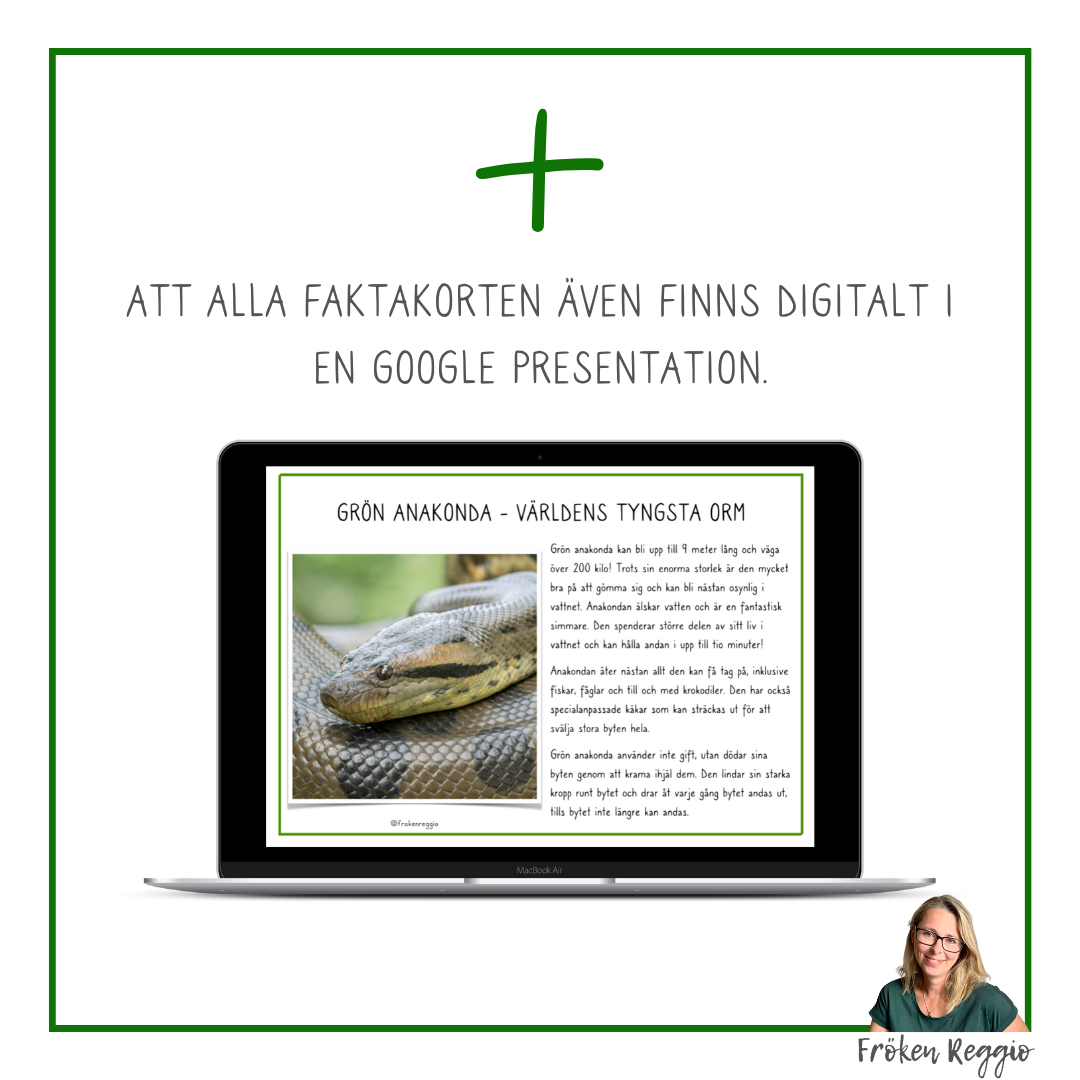 Snabba Fakta om Världens Värstingar - Djur - Del 1