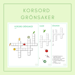 Paket grönsaker - bild 3