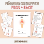 Prov + Facit – Människokroppen - bild 1