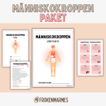 Människokroppen – PAKET - bild 1