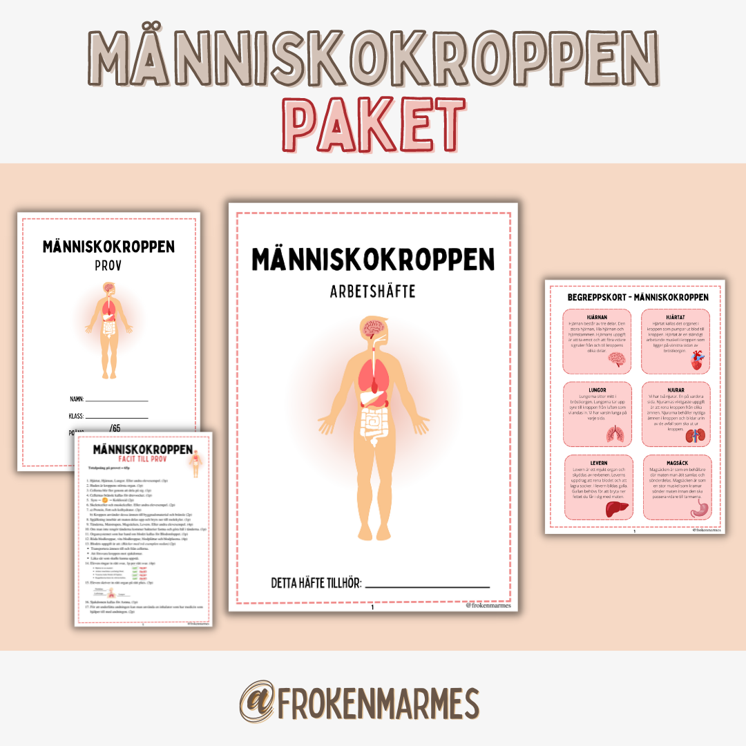 Människokroppen - PAKET