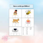 Stava ordet på bilden – paket - bild 1