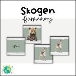 Skogens djur - Memory