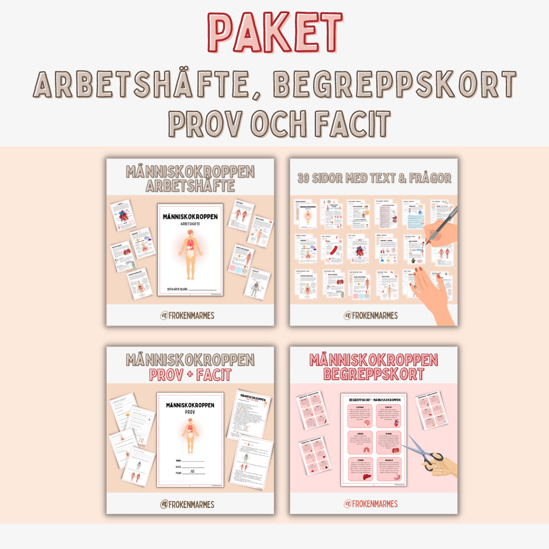Människokroppen - PAKET