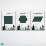 Skogen – Geometri - bild 2