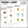 Träna ljudet