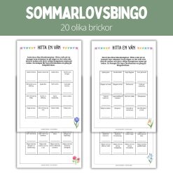 Hitta en kompis - bingo sommarlov - 20 bingobrickor