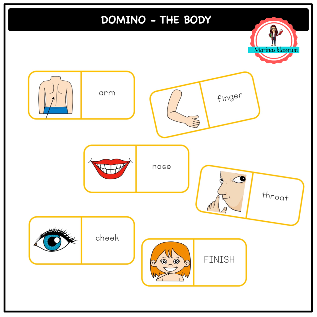 Läsdomino engelska + svenska – kroppen
