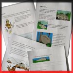 Ett häfte om istiden - bild 1