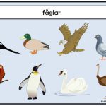 Gruppera eleverna med djurtema! - bild 2