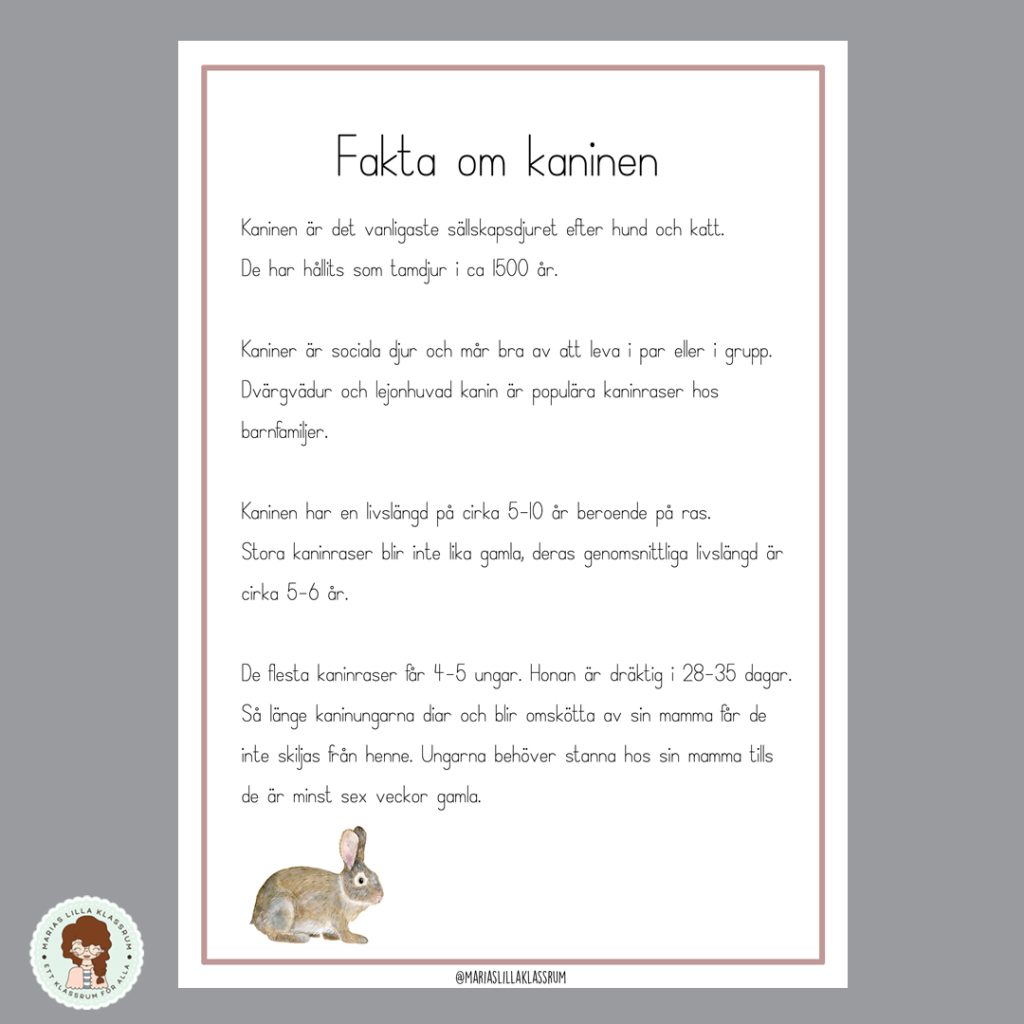 Fakta om husdjur – Kanin, hund och katt.