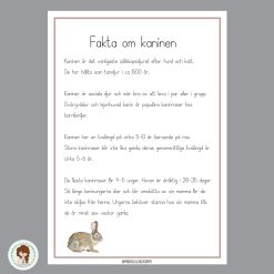 Fakta om husdjur - Kanin, hund och katt.