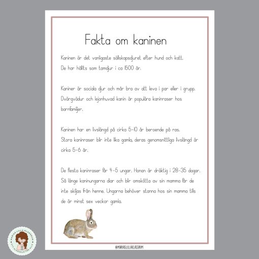 Fakta om husdjur - Kanin, hund och katt.
