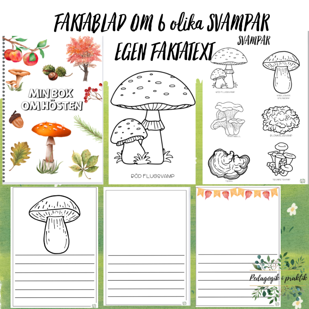 Faktablad om 6 olika svampar egen faktatext.