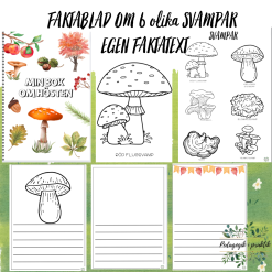 Faktablad om 6 olika svampar egen faktatext.