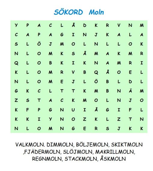 Väder Sökord